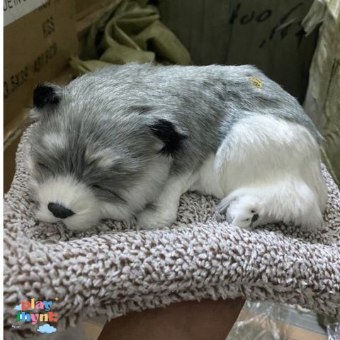 Gấu Bông Cún Xám Đơn Than Hoạt Tính - Phụ Kiện Trang Trí Ô Tô Khử Mùi và Lọc Không Khí 99% Giống Thật