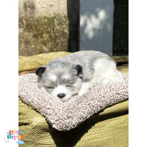 Gấu Bông Cún Xám Đơn Than Hoạt Tính - Phụ Kiện Trang Trí Ô Tô Khử Mùi và Lọc Không Khí 99% Giống Thật