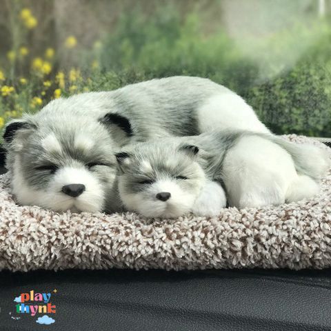 Gấu Bông Than Hoạt Tính Khử Mùi - Thú Cưng Giống Thật 99% Chó Mèo Sói - Phụ Kiện Trang Trí Xe Hơi Đáng Yêu