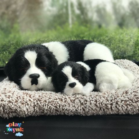 Gấu Bông Than Hoạt Tính Khử Mùi - Thú Cưng Giống Thật 99% Chó Mèo Sói - Phụ Kiện Trang Trí Xe Hơi Đáng Yêu
