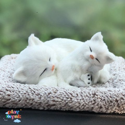 Gấu Bông Than Hoạt Tính Khử Mùi - Thú Cưng Giống Thật 99% Chó Mèo Sói - Phụ Kiện Trang Trí Xe Hơi Đáng Yêu