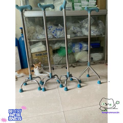Gậy Tập Đi Inox Chất Lượng - Hỗ Trợ Phục Hồi, Lựa Chọn 3 hoặc 4 Chân, Điều Chỉnh Chiều Cao, Dễ Mang Theo - Hàng Việt Nam