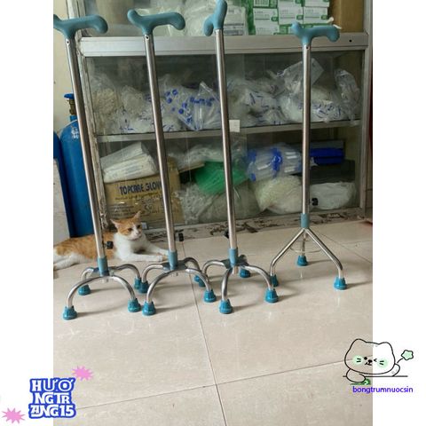 Gậy Tập Đi Inox Chất Lượng - Hỗ Trợ Phục Hồi, Lựa Chọn 3 hoặc 4 Chân, Điều Chỉnh Chiều Cao, Dễ Mang Theo - Hàng Việt Nam