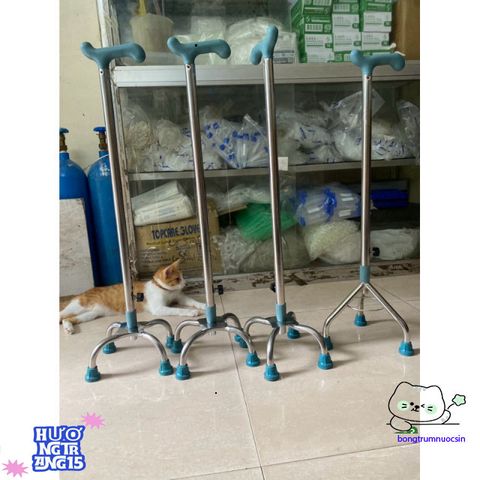 Gậy Tập Đi Inox Chất Lượng - Hỗ Trợ Phục Hồi, Lựa Chọn 3 hoặc 4 Chân, Điều Chỉnh Chiều Cao, Dễ Mang Theo - Hàng Việt Nam