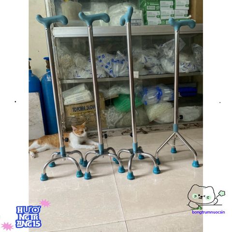 Gậy Tập Đi Inox Chất Lượng - Hỗ Trợ Phục Hồi, Lựa Chọn 3 hoặc 4 Chân, Điều Chỉnh Chiều Cao, Dễ Mang Theo - Hàng Việt Nam