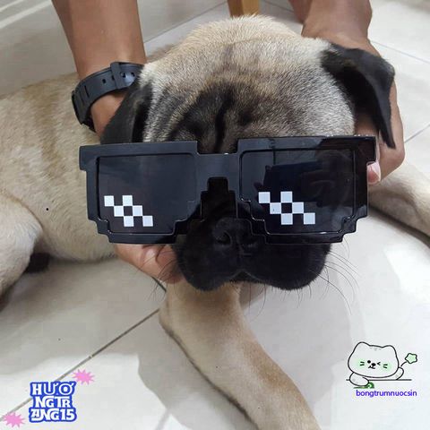 Kính Mát Thug Life Phong Cách Độc Đáo - Kính Thời Trang Dành Cho Nam Nữ Trẻ Em, Phụ Kiện Cá Tính Thời Thượng