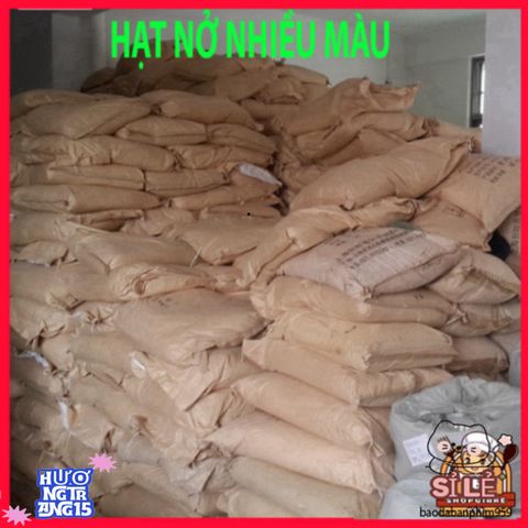 Bộ Hạt Nở Xanh Dễ Thương - Chai Dẻo 100gr/200gr/500gr - Sáng Tạo Thú Vị và Thân Thiện Môi Trường cho Trẻ Em