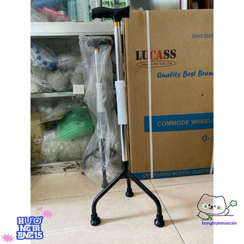 Gậy Đi Bộ Điều Chỉnh Cao Độ 3-4 Chân Inox Cao Cấp Lucass - Phục Hồi Chức Năng Cho Người Già, Khuyết Tật