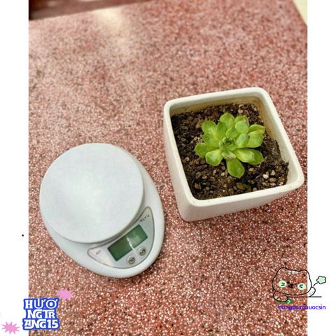Cân Điện Tử Mini Proki 5kg Nhà Bếp - Đo Chính Xác, Thiết Kế Nhỏ Gọn, Tặng 2 Pin AAA - Dụng Cụ Đo Đạc Bánh Pha Chế Tiện Lợi