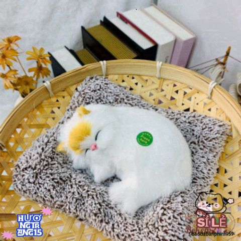 Túi Tã Lót Chuồng Cho Thú Cưng - Kháng Mùi Than Hoạt Tính, Thiết Kế Dễ Thương Cho Chó Mèo, Chất Liệu Êm Ái, Giữ Cho Không Gian Sạch Sẽ