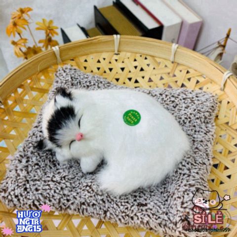 Túi Tã Lót Chuồng Cho Thú Cưng - Kháng Mùi Than Hoạt Tính, Thiết Kế Dễ Thương Cho Chó Mèo, Chất Liệu Êm Ái, Giữ Cho Không Gian Sạch Sẽ