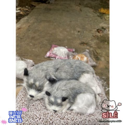 Cún Xám Đôi Bố Con - Gấu Bông Dễ Thương Lọc Không Khí Ô Tô Bằng Than Hoạt Tính, Món Quà Tuyệt Vời Cho Trẻ Nhỏ