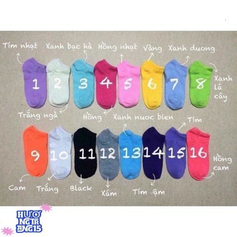 Tất Trơn Cổ Ngắn Big Size Đa Màu - Vớ Thời Trang Thoải Mái, Chất Lượng Cao, Tiết Kiệm Ngay 5K Khi Mua Hàng Từ 50K