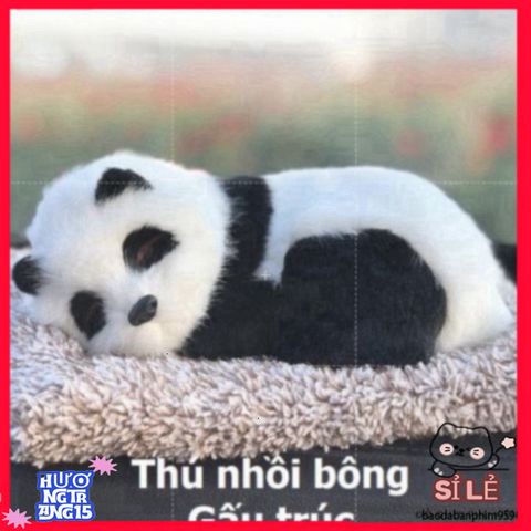Thú Bông Dog & Cat Ngộ Nghĩnh - Âm Thanh Vui Nhộn, Trang Trí Ô Tô & Bàn Làm Việc, Lọc Khí & Khử Mùi Hiệu Quả