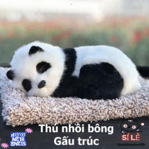 Thú Bông Lõi Than Hoạt Tính Khử Mùi - Trang Trí Taplo Ô Tô, Lọc Không Khí Cho Xu Hướng Sống Trong Lành