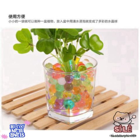 Hạt Nở Nhiều Màu Gói 5000 Viên - Trang Trí Không Gian Sống Sáng Tạo và Độc Đáo từ Thao Hoàng Thư