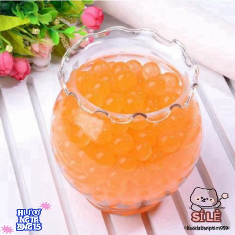 Hạt Nở Nhiều Màu Gói 5000 Viên - Trang Trí Không Gian Sống Sáng Tạo và Độc Đáo từ Thao Hoàng Thư