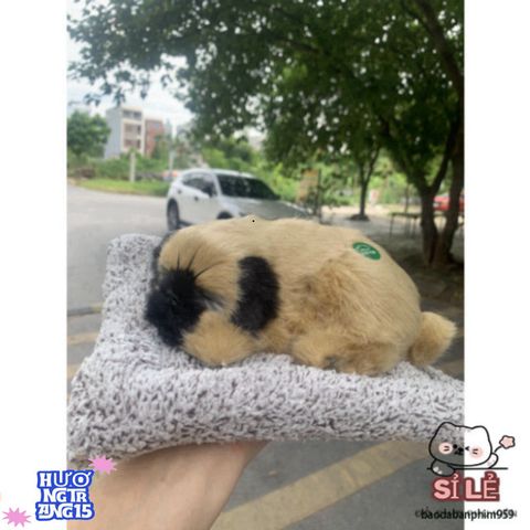 Thú Bông Khử Mùi Than Hoạt Tính - Decor Xe Hơi & Bàn Làm Việc Dễ Thương, Giải Pháp Sạch Không Khí An Toàn Cho Gia Đình