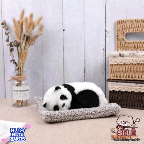 Thú Bông Mèo Trắng Trán Vàng - Decor Xe Hơi Vừa Lọc Khí, Chống Khuẩn, Nguyên Liệu Cao Cấp, Đáng Yêu, Quà Tặng Độc Đáo Cho Tín Đồ Thú Cưng