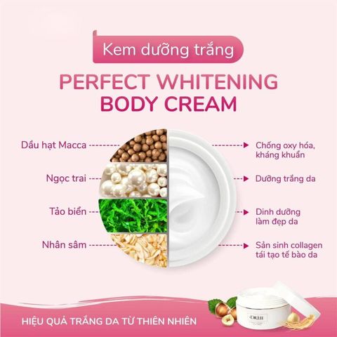 Kem dưỡng trắng toàn thân +Dr.Lee Perfect whitening Body Cream 605860