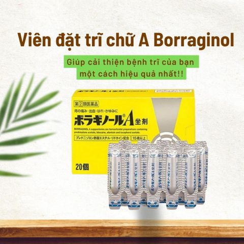 Viên Đặt Trĩ Chữ A Nhật Bản - Giảm Đau Rát, Hỗ Trợ Co Búi Trĩ, Hàng Nội Địa Nhật Bản, An Toàn và Hiệu Quả Cho Sức Khỏe Bạn