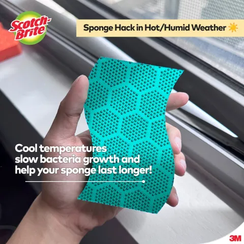 Bộ 3 túi miếng rửa chén 3M Scotch-Brite - Hạt mài siêu sạch, không bám bẩn, dễ dàng làm sạch dầu mỡ, kháng khuẩn, 2 miếng/túi