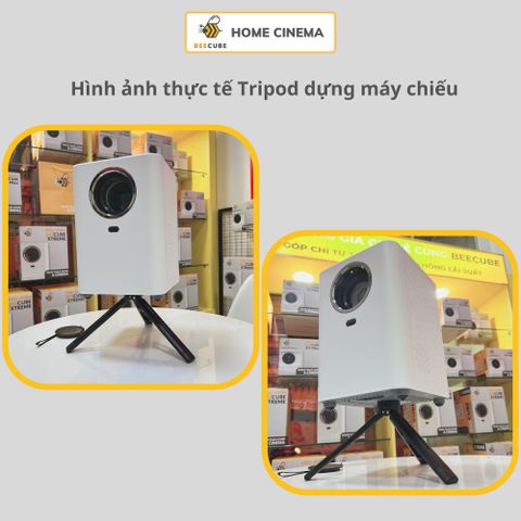 Chân máy chiếu Mini Beecube - Tripod kim loại gấp gọn, chịu tải 5kg cho Webcam, Camera, DSLR - Phụ kiện thiết bị số cao cấp