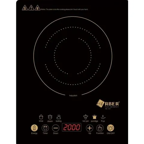 Bếp từ đơn ABER AB301