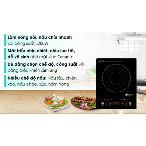 Bếp từ đơn ABER AB301