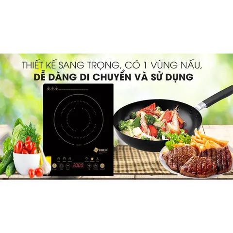 Bếp từ đơn ABER AB301
