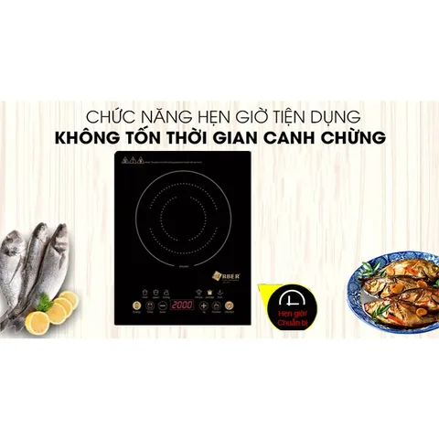 Bếp từ đơn ABER AB301
