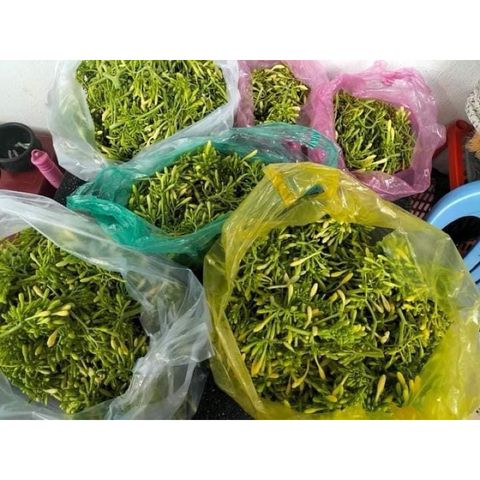 Mật Ngâm Hoa Đu Đủ Đực - Sản Phẩm Tự Nhiên Từ Thảo Dược, Thanh Lọc Cơ Thể Với Mật Ong Rừng Sâu, Hàng Tiêu Dùng Chất Lượng Cao