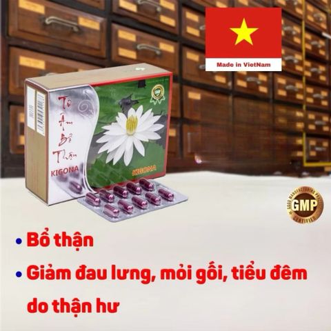Viên Uống Bổ Thận Âm Đại Hồng Phúc - Hỗ Trợ Đau Lưng, Tiểu Đêm, Mất Ngủ, Ổn Định Huyết Áp, Kiểm Soát Đái Tháo Đường