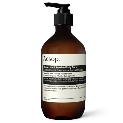 Aesop