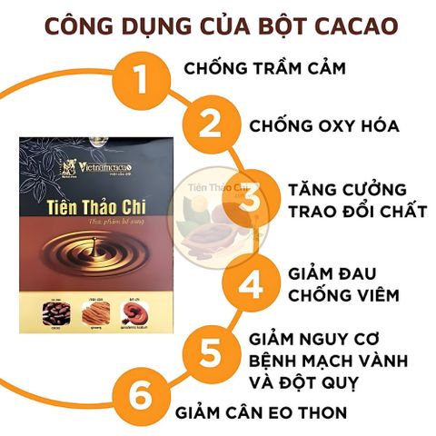 Tiên Thảo Chi Vinacacao - Hộp 15 Gói Bột Ca Cao Nhân Sâm và Nấm Linh Chi Tăng Cường Sức Khỏe Hàng Ngày - Xuất Kèm VAT
