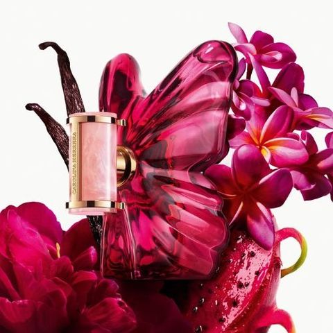 Nước Hoa Carolina Herrera La Bomba Eau De Parfum 80ml - Hương Thơm Quyến Rũ, Thiết Kế Sang Trọng, Dành Cho Nam Nữ