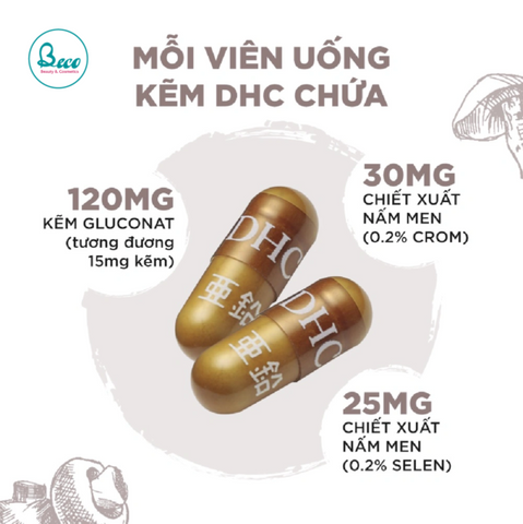 Viên Uống DHC Zinc Kẽm Nhật Bản 60 Viên - Bổ Sung Kẽm Tăng Cường Sức Khỏe và Miễn Dịch, Hỗ Trợ Chăm Sóc Da Tóc