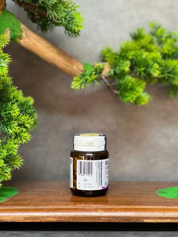 Viên Uống Bổ Não Blackmores Ginkgoforte 40 Viên - Hỗ Trợ Cải Thiện Trí Nhớ và Tăng Cường Chức Năng Nhận Thức