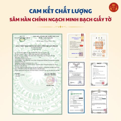 Nước Hồng Sâm Hoàng Hậu Daedong 20 Gói x 120ml - Giải Pháp Sức Khỏe, Bổ Sung Năng Lượng Hằng Ngày từ Hàn Quốc