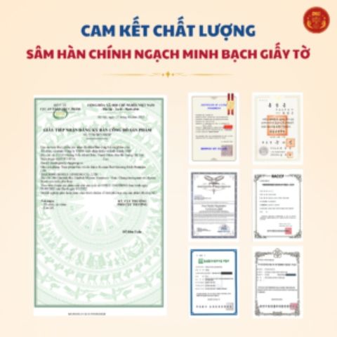 Nước Hồng Sâm Hàn Quốc Cao Cấp Daedong - Chiết Xuất Premium 30 Gói x 10ml, Bổ Sung Sức Khỏe và Năng Lượng Hàng Ngày