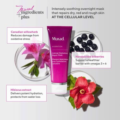Mặt Nạ Ngủ Cấp Nước Murad Cellular Hydration Repair Mask 80ml - Phục Hồi Da, Giúp Da Căng Mịn Sau 1 Đêm