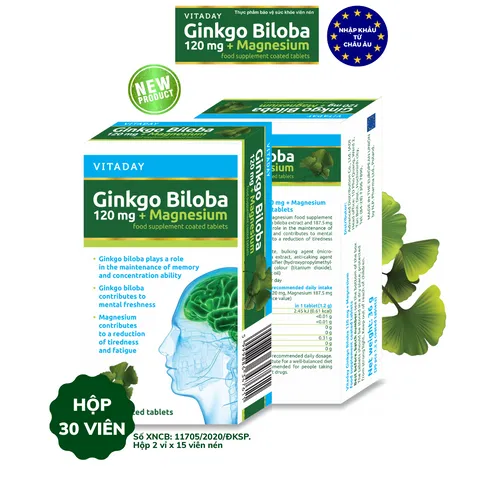 Viên uống bổ não Vitaday Ginkgo Biloba 120mg + Magnesium - Hỗ trợ trí nhớ và giảm căng thẳng - Hộp 30 viên nhập khẩu