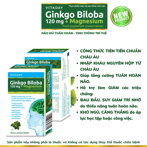 Viên uống bổ não Vitaday Ginkgo Biloba 120mg + Magnesium - Hỗ trợ trí nhớ và giảm căng thẳng - Hộp 30 viên nhập khẩu