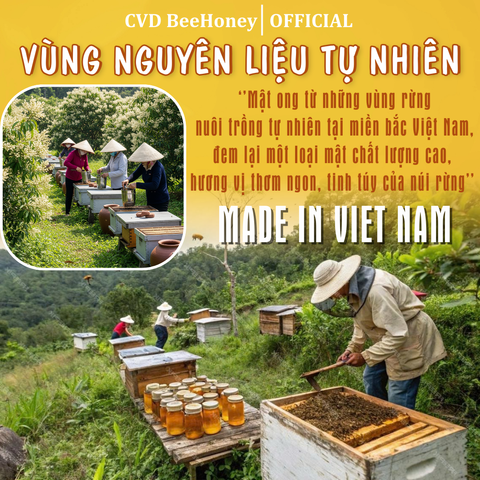 Mật Ong Hoa Rừng Cao Cấp Nguyên Chất CVDBEEHONEY 500g - Tăng Đề Kháng, Làm Đẹp Da, Hỗ Trợ Sức Khỏe Tự Nhiên