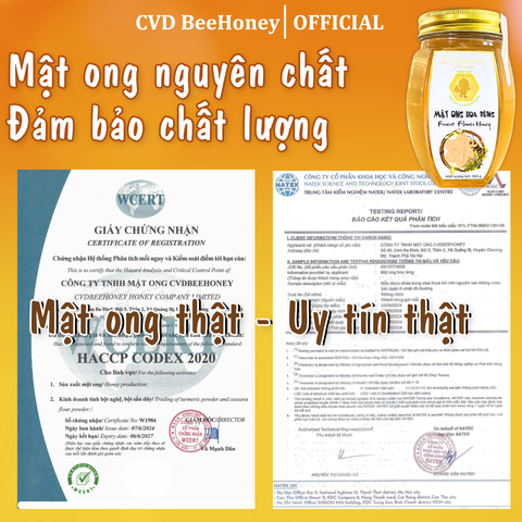 Mật Ong Hoa Rừng Cao Cấp Nguyên Chất CVDBEEHONEY 500g - Tăng Đề Kháng, Làm Đẹp Da, Hỗ Trợ Sức Khỏe Tự Nhiên