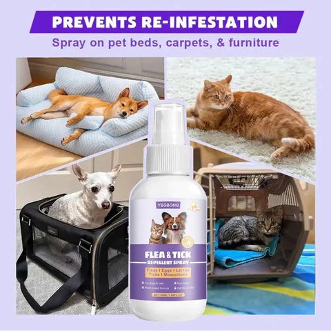 Chai Xịt Ve Rận, Bọ Chét Chó Mèo 50ml Chính Hãng - Loại Bỏ Bọ Chét Trứng Ấu Trùng An Toàn Hiệu Quả