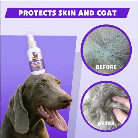 Chai Xịt Ve Rận, Bọ Chét Chó Mèo 50ml Chính Hãng - Loại Bỏ Bọ Chét Trứng Ấu Trùng An Toàn Hiệu Quả