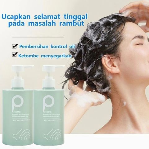 Dầu gội đầu loại bỏ mạt mụn sảng khoái kiềm dầu 500ml cải thiện tóc hư tổn dầu gội giảm ngứa/Shampoo