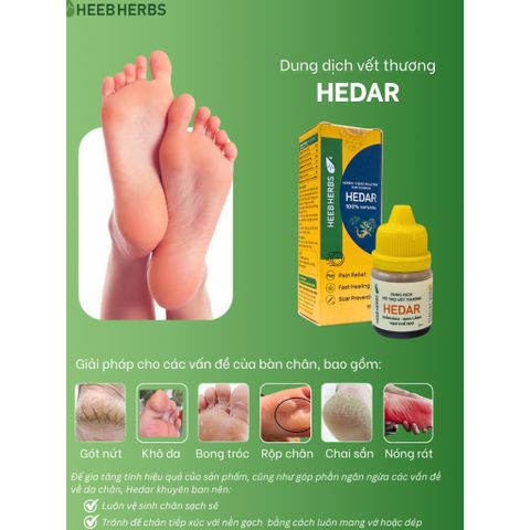 [COMBO 5 CHAI] Dung dịch dành cho vết thương HEDAR, 