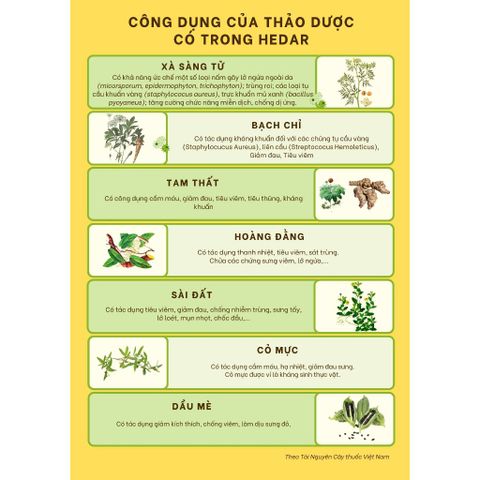 [COMBO 3 CHAI] Dung dịch Vết thương Hedar
